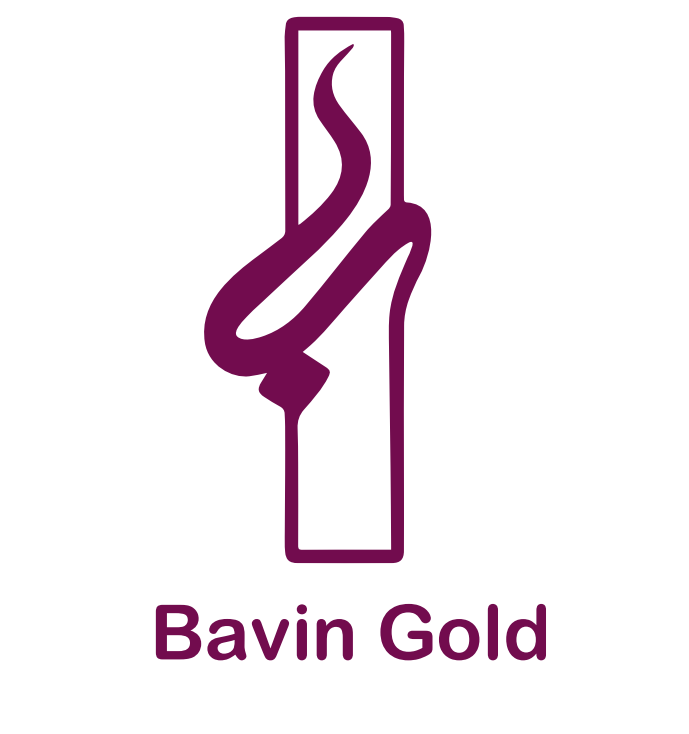 Bavin
